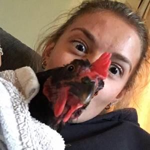 Meet your Posher, Julia